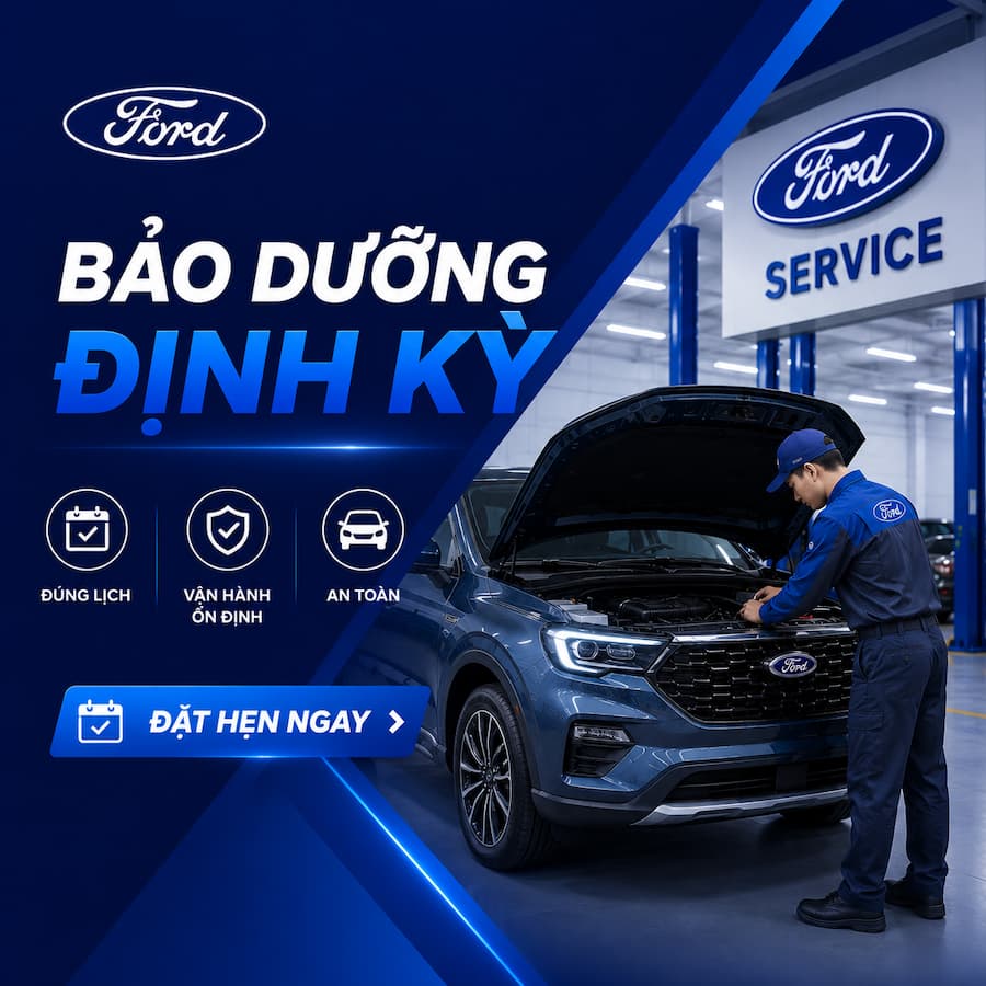 BẢO DƯỠNG ĐỊNH KỲ